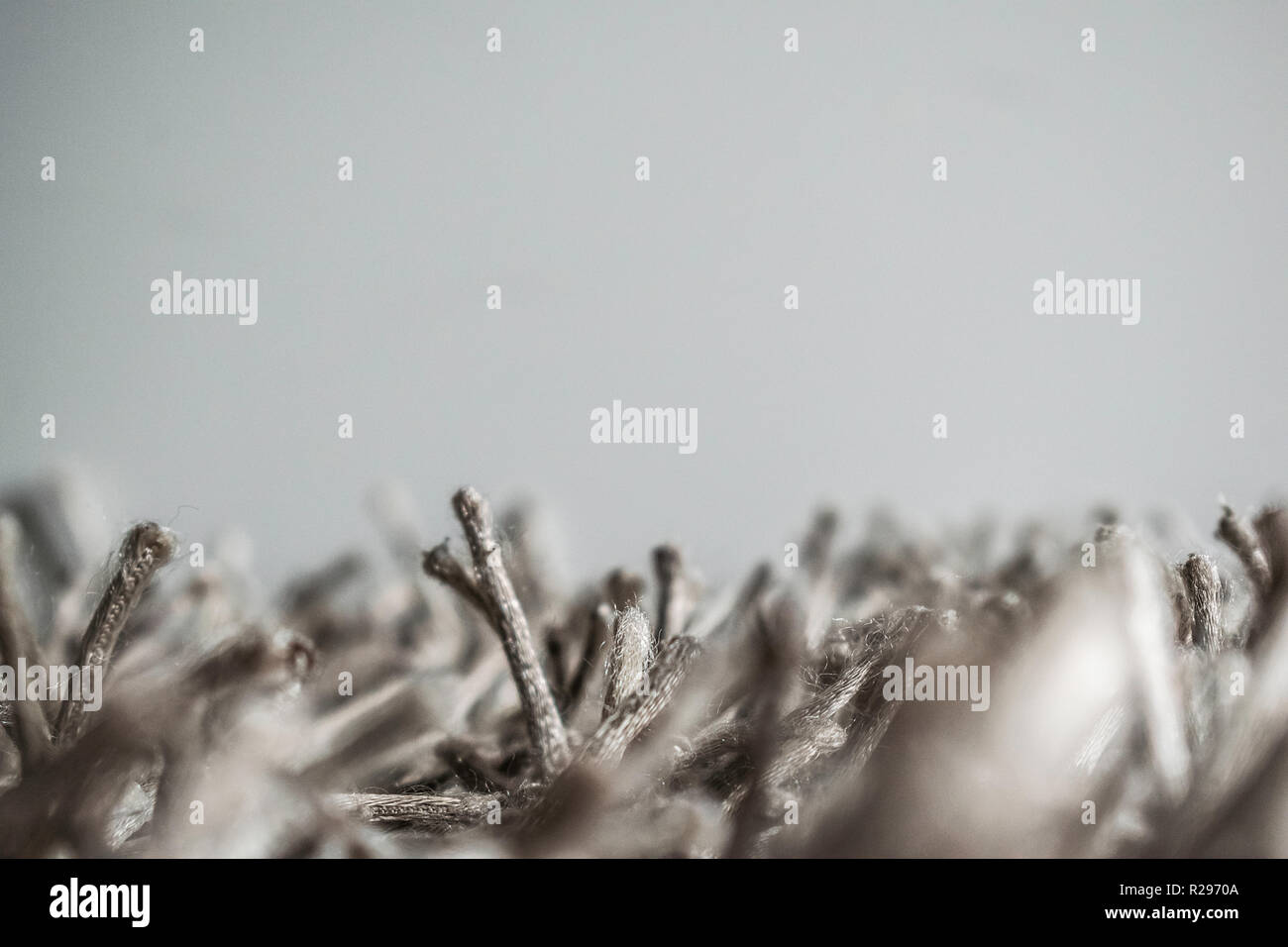 Dalla foresta di tappeti Foto Stock