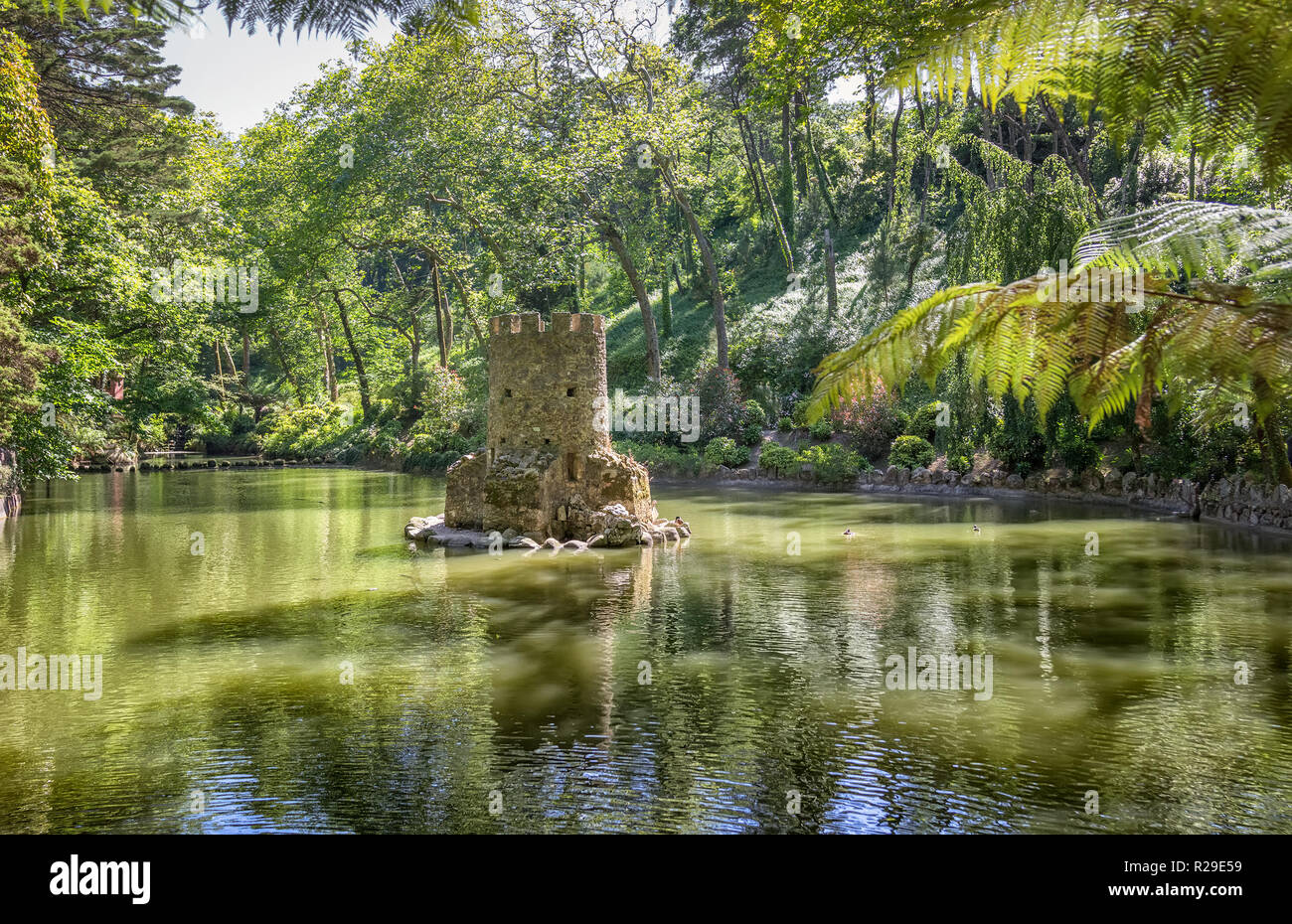 Stagno in la pena park a Sintra. Portogallo Foto Stock