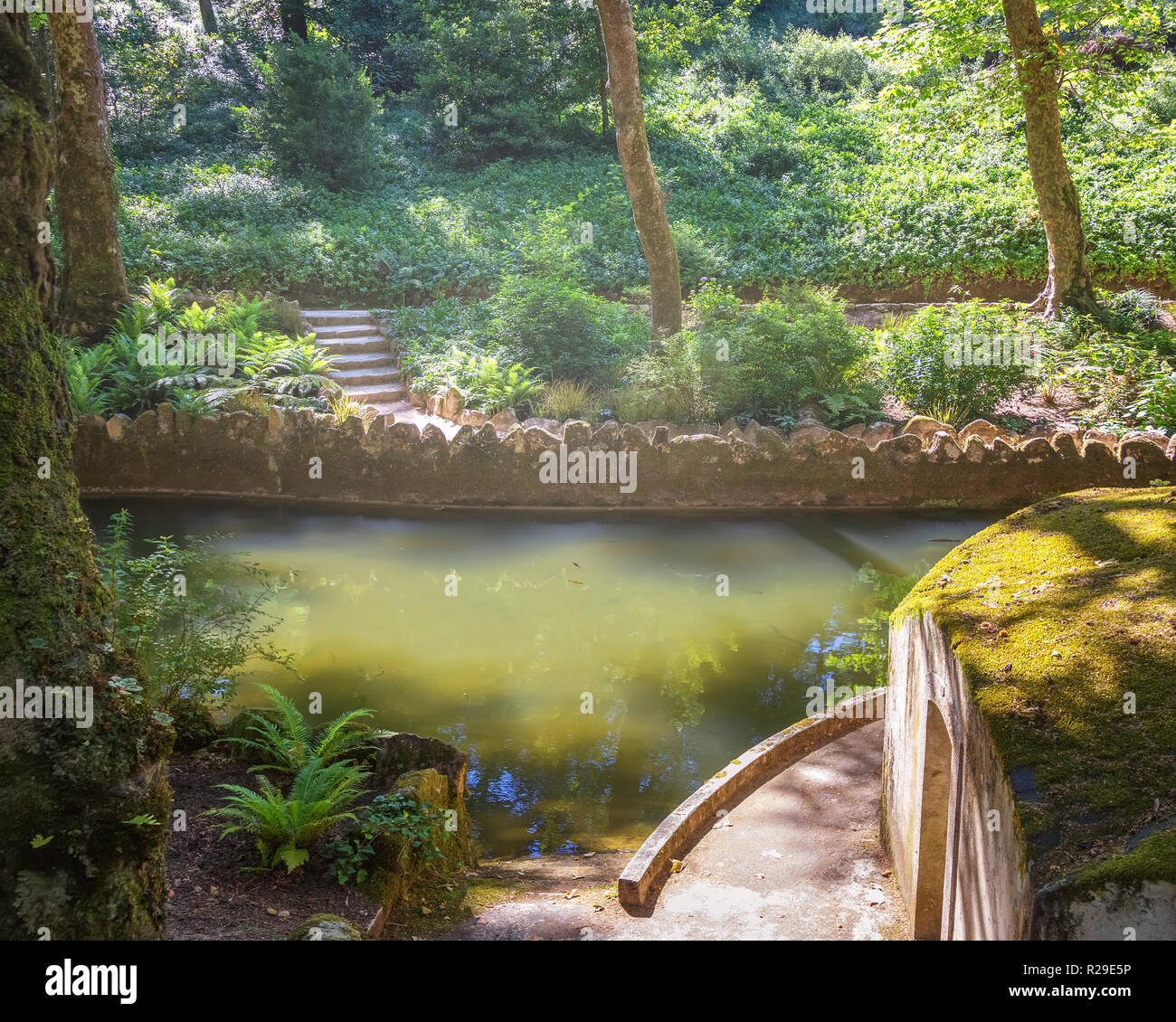 Stagno in la pena park a Sintra. Portogallo Foto Stock