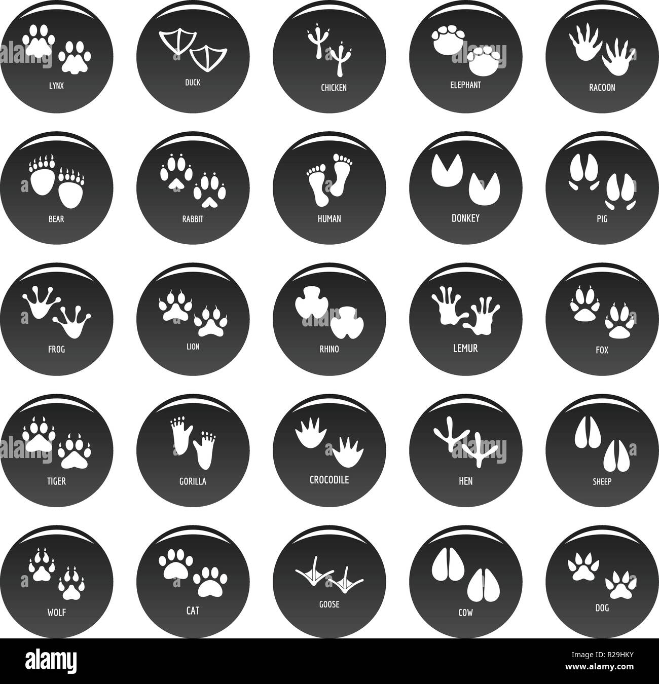 Footprint animale set di icone. Semplice illustrazione di 25 footprint animale icone vettoriali isolato nero Illustrazione Vettoriale