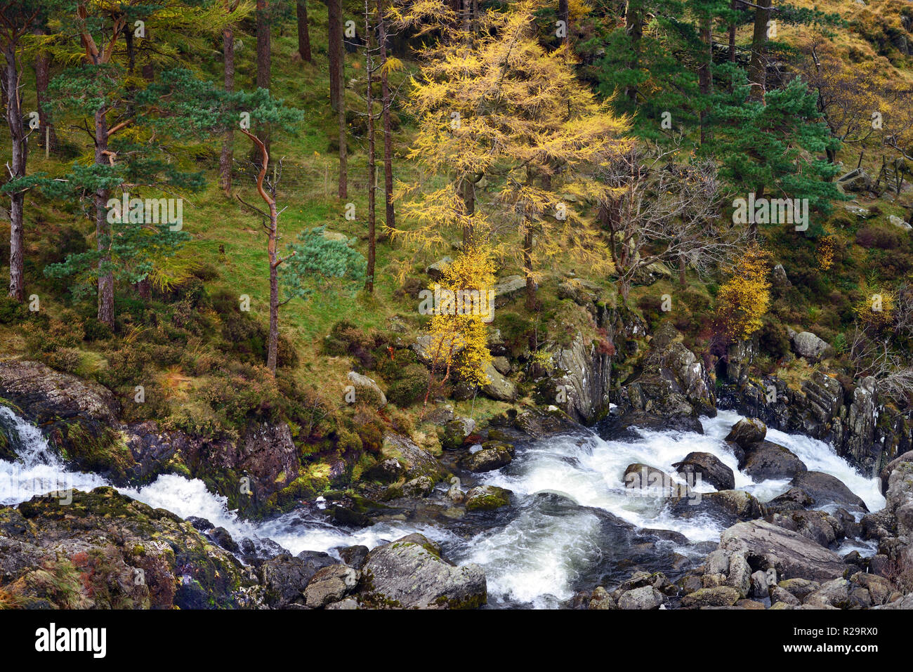 Ogwen cade è il punto in cui il fiume Ogwen inizia il suo cammino da Llyn Ogwen nell'Nant Ffrancon valley in Snowdonia, il Galles del Nord. Foto Stock