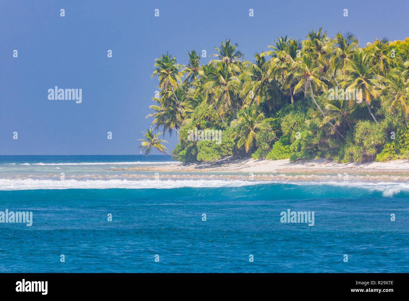 Tropical Island Beach. Palme vicino mare blu, tranquilla concetto Natura. Spiaggia di esotico scenario Foto Stock