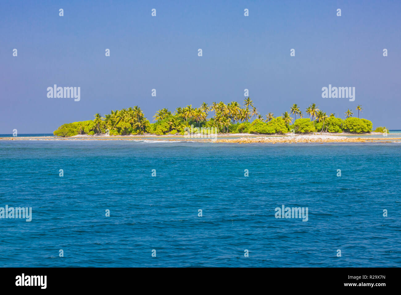 Tropical Island Beach. Palme vicino mare blu, tranquilla concetto Natura. Spiaggia di esotico scenario Foto Stock