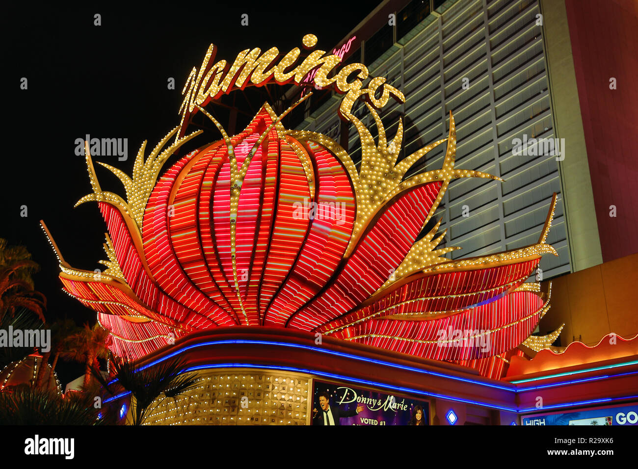 Luci al neon di Flamingo Hotel e Casino Di notte, Las Vegas, Nevada, America Foto Stock