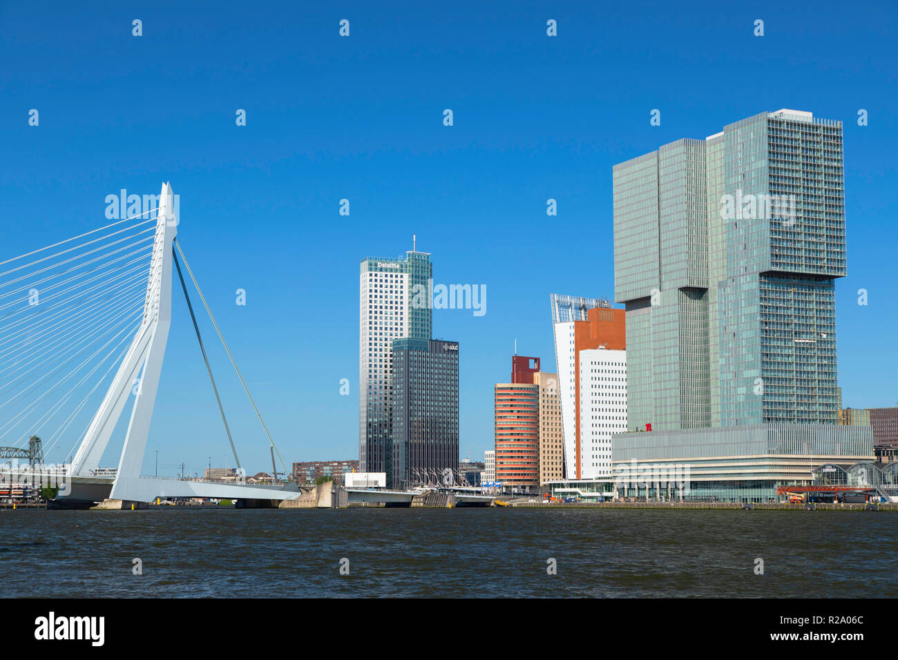 Ponte Erasmus (Erasmusbrug) e lo skyline di Rotterdam Zuid Holland, Paesi Bassi Foto Stock
