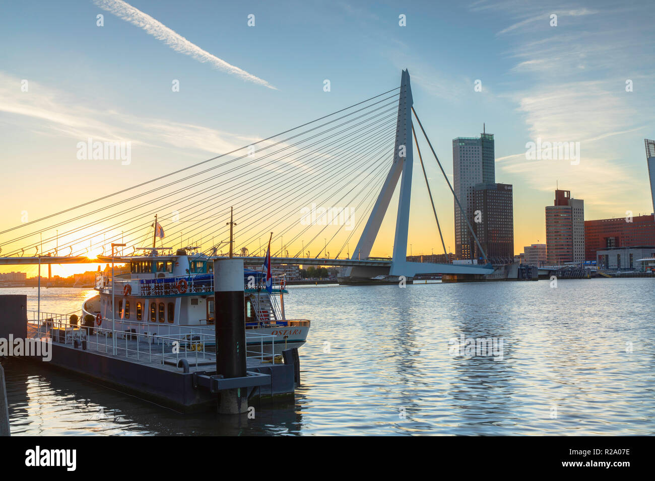 Ponte Erasmus (Erasmusbrug) all'alba, Rotterdam, Zuid Holland, Paesi Bassi Foto Stock