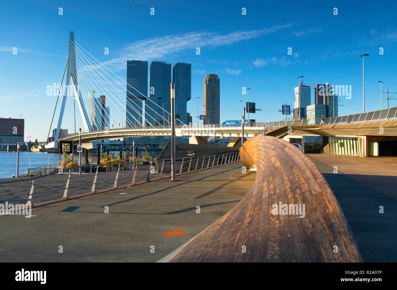 Ponte Erasmus (Erasmusbrug), Rotterdam, Zuid Holland, Paesi Bassi Foto Stock