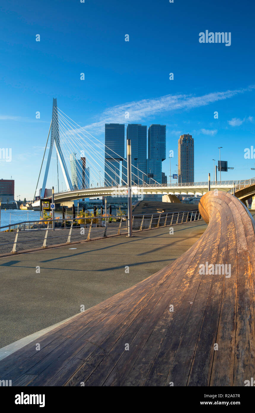 Ponte Erasmus (Erasmusbrug), Rotterdam, Zuid Holland, Paesi Bassi Foto Stock