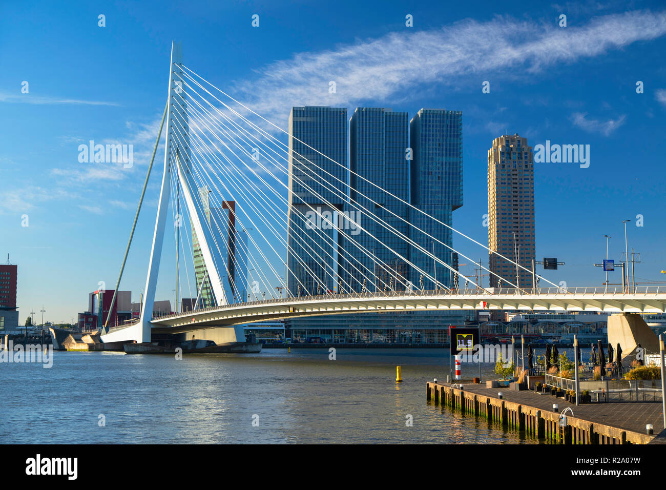 Ponte Erasmus (Erasmusbrug), Rotterdam, Zuid Holland, Paesi Bassi Foto Stock