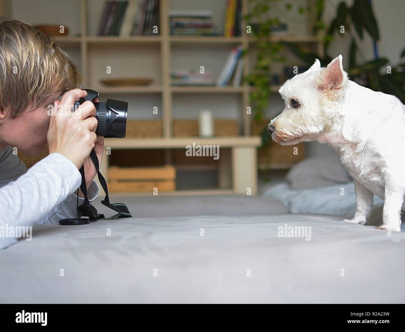 Donna di fotografare un cane in interno Foto Stock