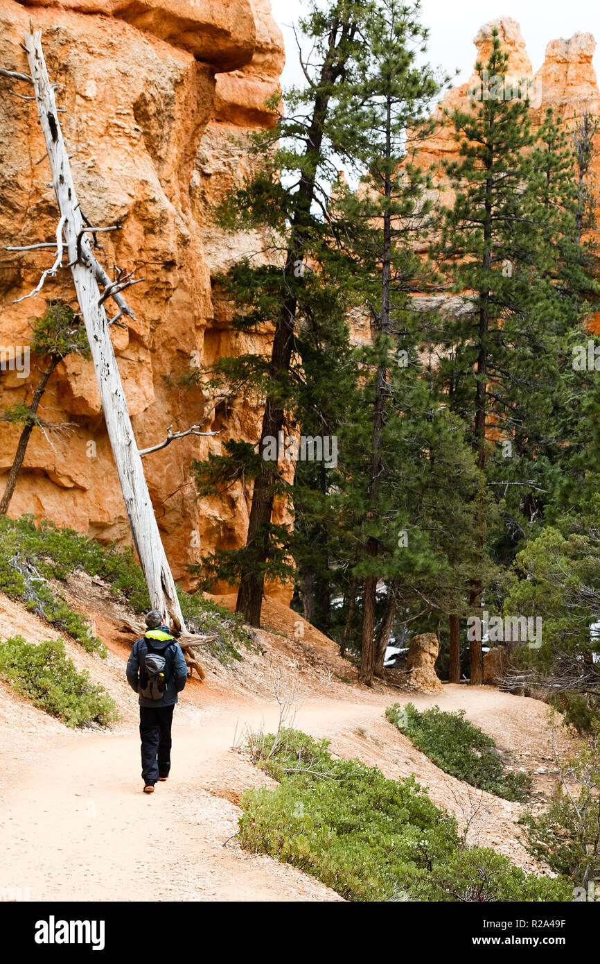 La gente a piedi lungo un sentiero nel Parco nazionale di Bryce Canyon dello Utah Foto Stock
