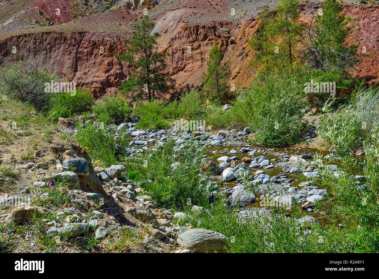 Bella Unrealy colorate scogliere di argilla nelle montagne di Altai, Russia. Estate paesaggio che è chiamato e marziano creek in esecuzione tra pietre in Kyzyl Foto Stock