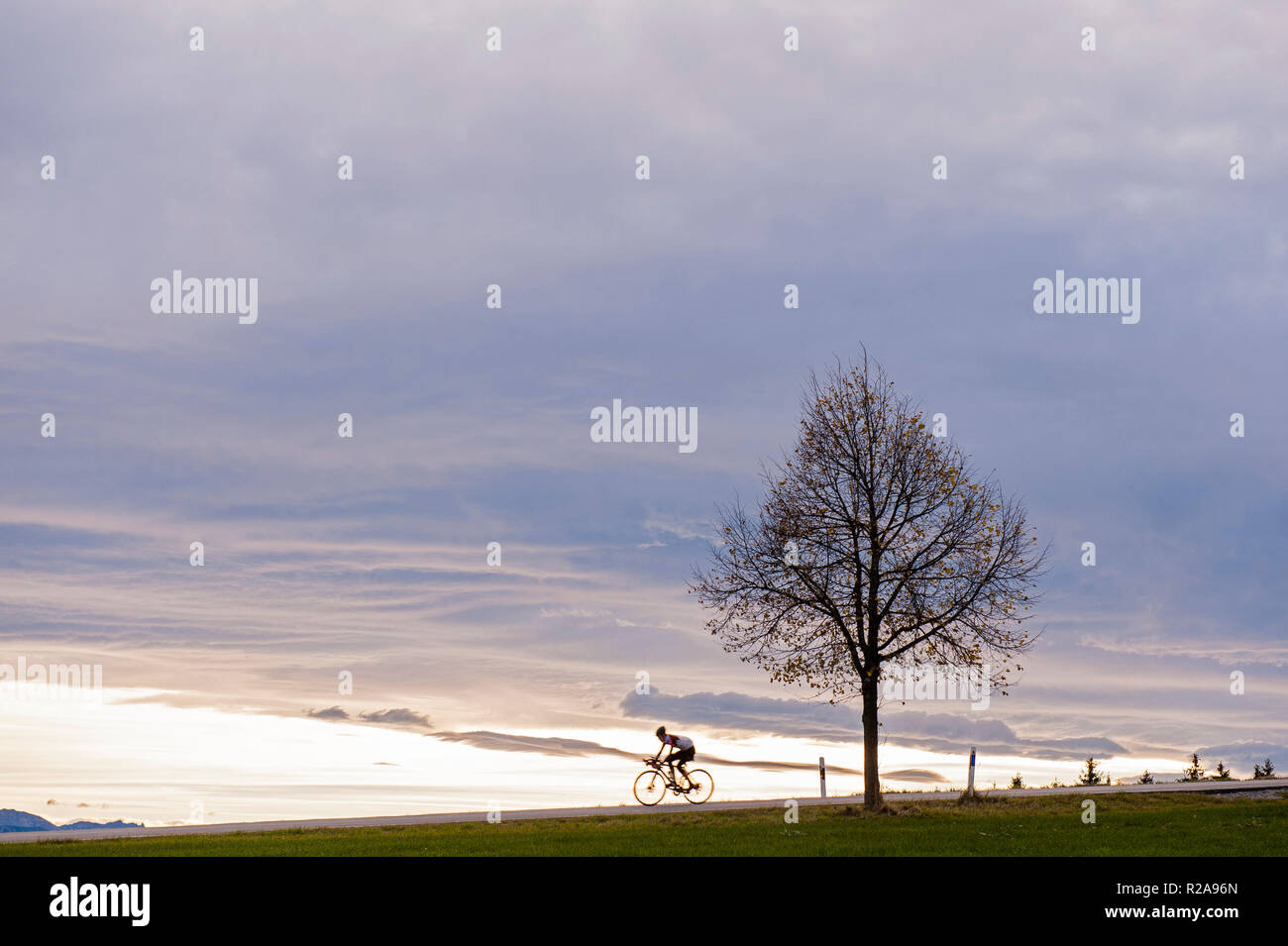 Ciclista su Hohenpeissenberg, Alta Baviera, Germania Foto Stock