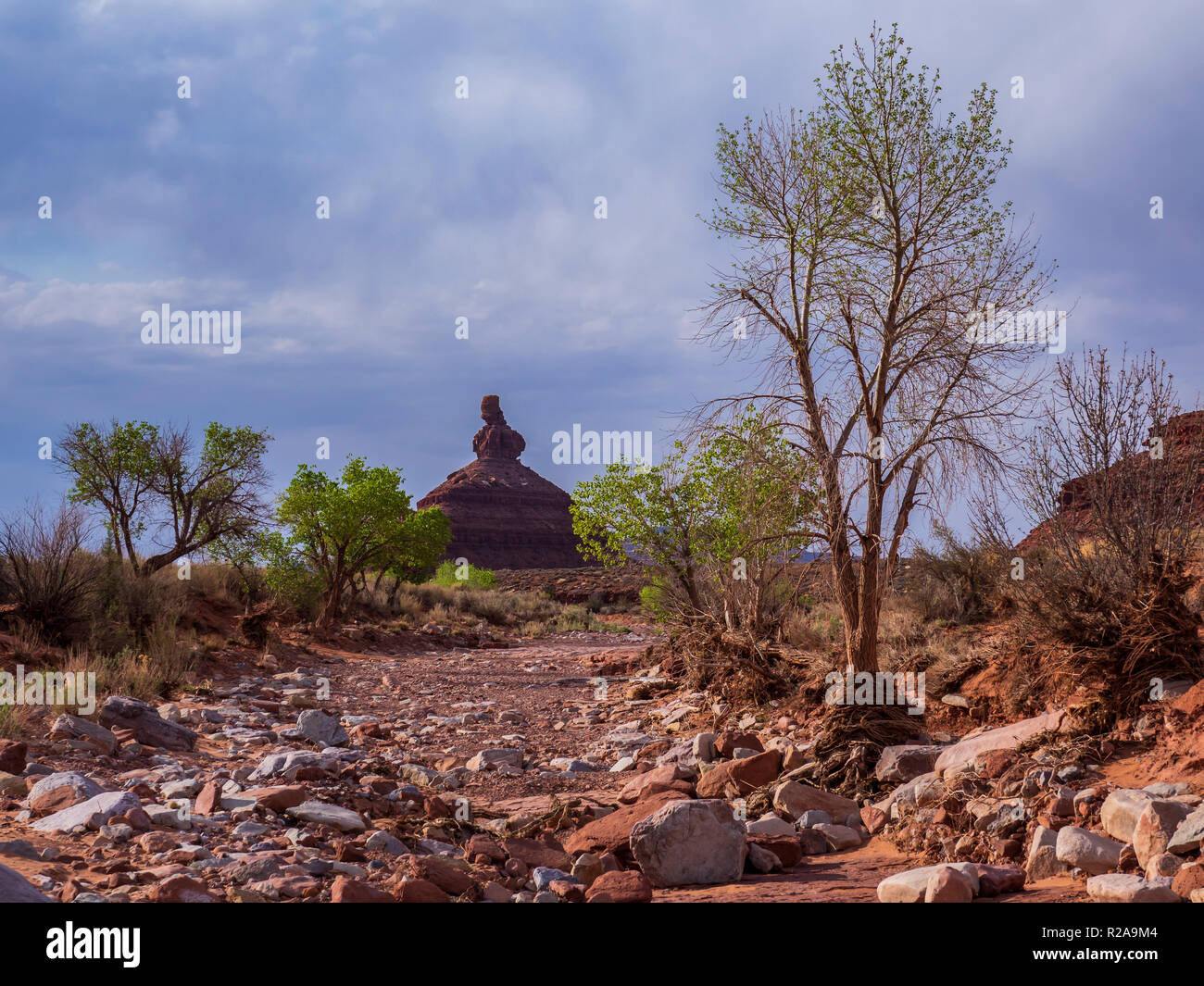 Impostazione Hen Butte, la Valle degli Dèi vicino a Bluff, Utah. Foto Stock