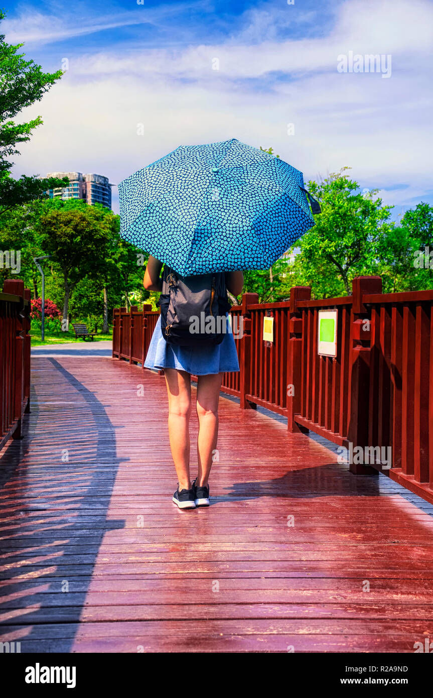 Una donna cinese con ombrello camminando su un ponte di legno sopra l'acqua  all'interno del Futian Mangrove Parco Ecologico di Shenzhen in Cina in una  giornata di sole Foto stock - Alamy