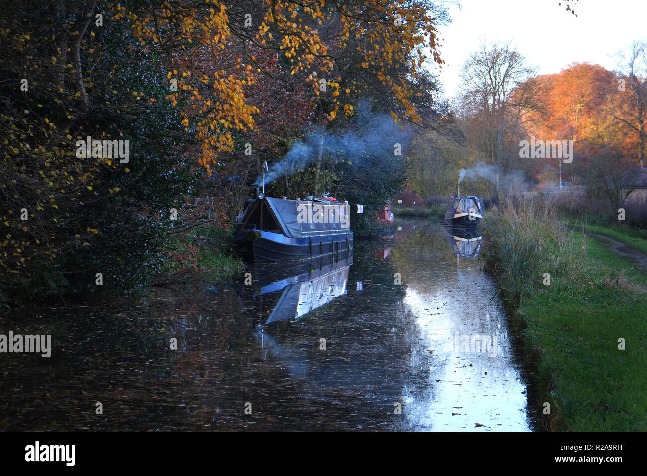 Imbarcazioni strette con comignoli fumanti ormeggiate lungo le rive del Caldon Canal a Cheddleton, Staffordshire Moorlands, Inghilterra. Autunno d'oro brilla di luce sugli alberi Foto Stock