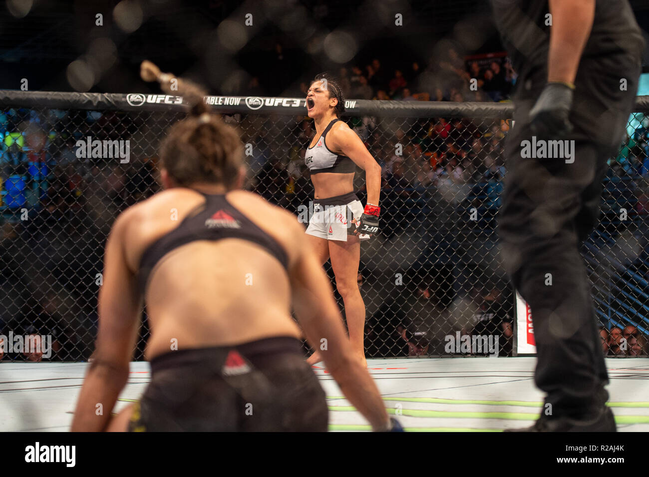 Buenos Aires, Argentina. 17 novembre 2018 UFC Fight Night 140. Cynthia Calvillo sconfigge Poliana Botelho dalla presentazione durante UFC Fight Night 140 a Estadio Mary Terán de Weiss, Buenos Aires sabato 17 novembre 2018. ©MI News & Sport Ltd | Alamy Live News Foto Stock