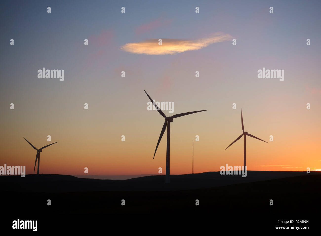La Scozia, Regno Unito. 18 Nov 2018. Tramonto a Kelburn Wind Farm, vicino a Largs in North Ayrshire, dopo una bella nuvola inverni libero giorno di credito: PictureScotland/Alamy Live News Foto Stock