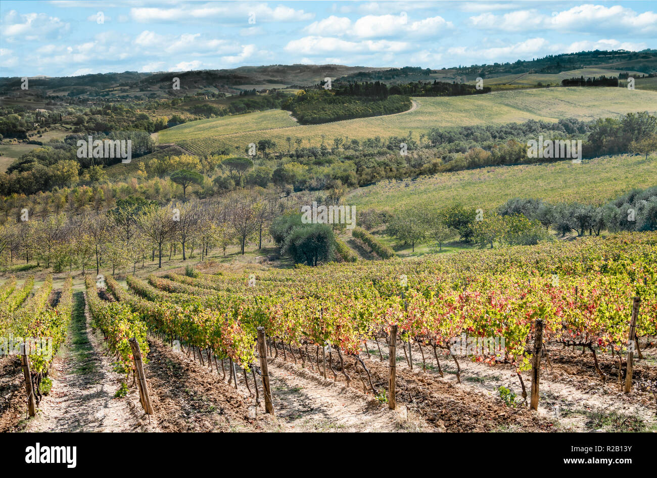 In Toscana nel mese di Ottobre: vigneti e oliveti visualizza i colori dell'autunno sul pendio di una collina a sud di Firenze, Italia. Foto Stock