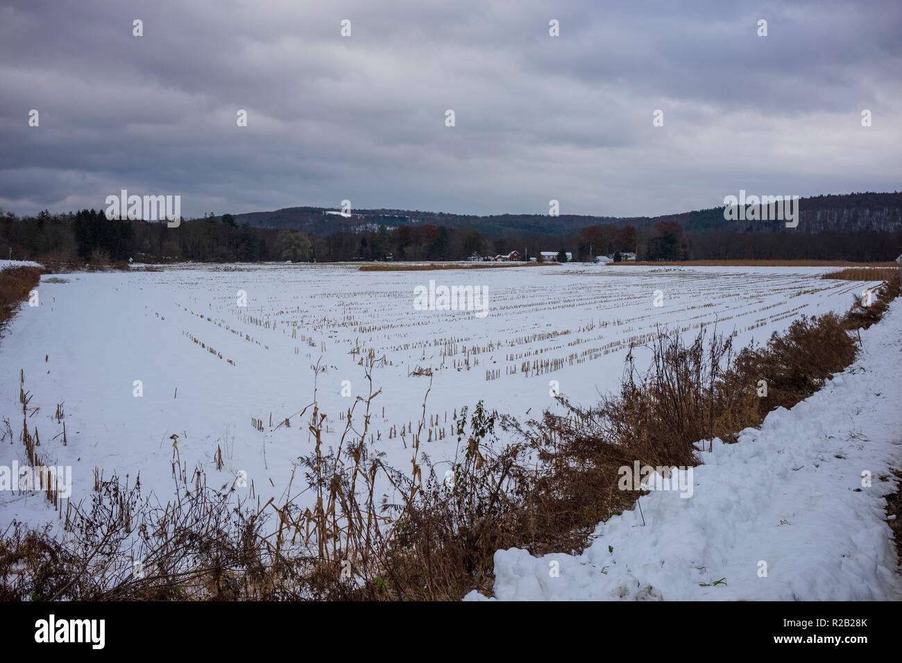 Neve coperto campo di fattoria dopo un raccolto, Owego, NY. Foto Stock