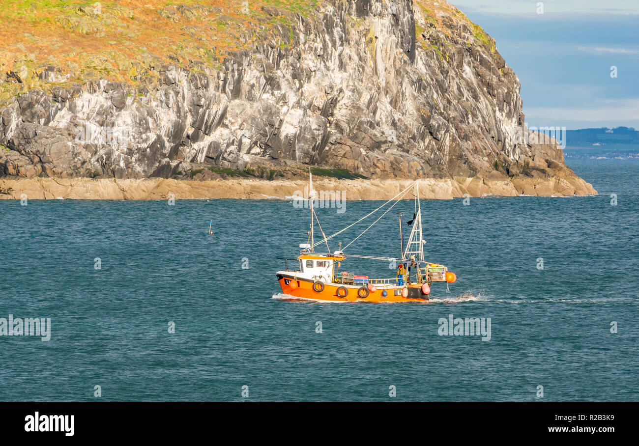 Arancione colorate barche da pesca in mare tra North Berwick e Craigleith Isalnd con l uomo e aragosta pentole sul ponte, Firth of Forth, Scotland, Regno Unito Foto Stock