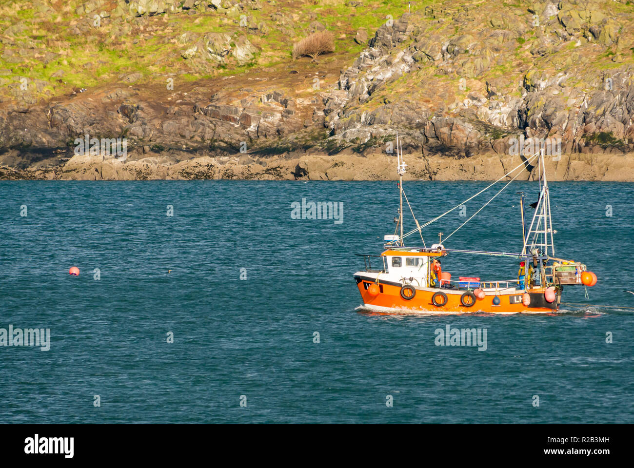 Arancione colorate barche da pesca in mare tra North Berwick e Craigleith Isalnd con uomini e astice pentole sul ponte, Firth of Forth, Scotland, Regno Unito Foto Stock