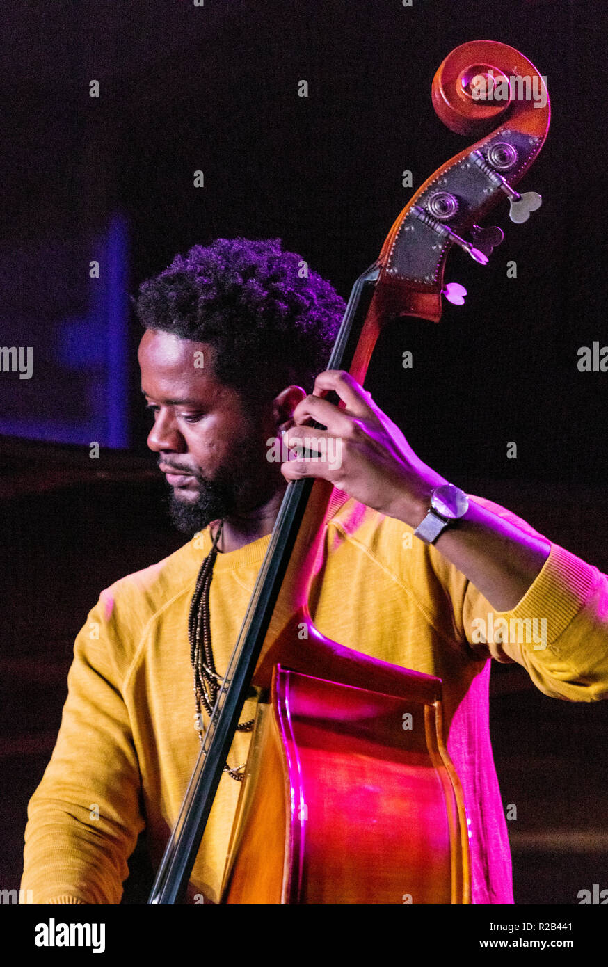 CHRIS Smith gioca base per TIA FULLER'S Taglio diamante effettuando in corrispondenza della 61a Monterey Jazz Festival - Monterey, California Foto Stock