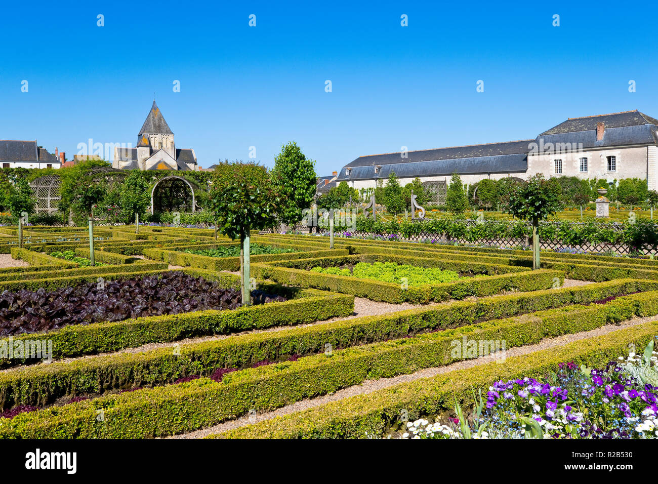 Giardini del Castello di Villandry, Valle della Loira, Francia Foto Stock