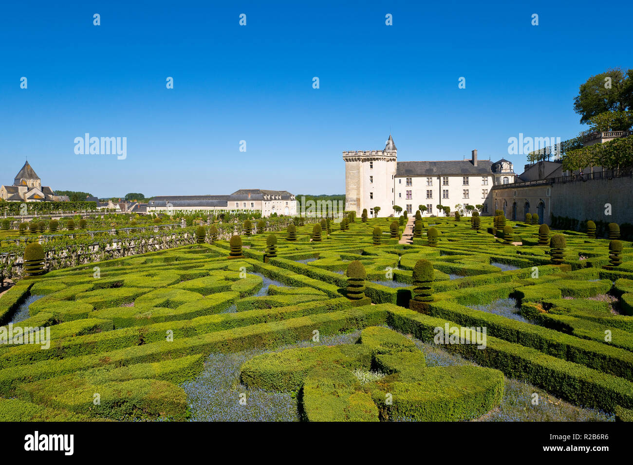 Giardini del Castello di Villandry, Valle della Loira, Francia Foto Stock
