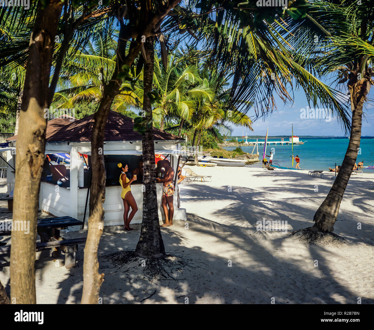 Persone in chat presso il beach bar, spiaggia tropicale, palme, il mare dei Caraibi, Saint-François, Guadalupa, French West Indies, Foto Stock