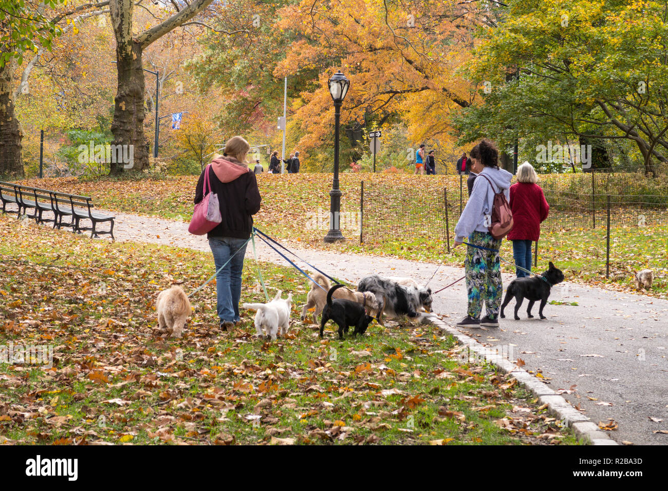 Central Park è un'oasi pubblica nella città di New York, Stati Uniti d'America Foto Stock