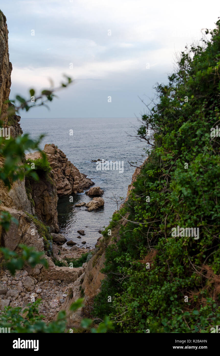 Foto di scogliere di Cala de Sant Francesc, la costa della Baia di Blanes, Costa Brava, Spagna Catalogna Foto Stock