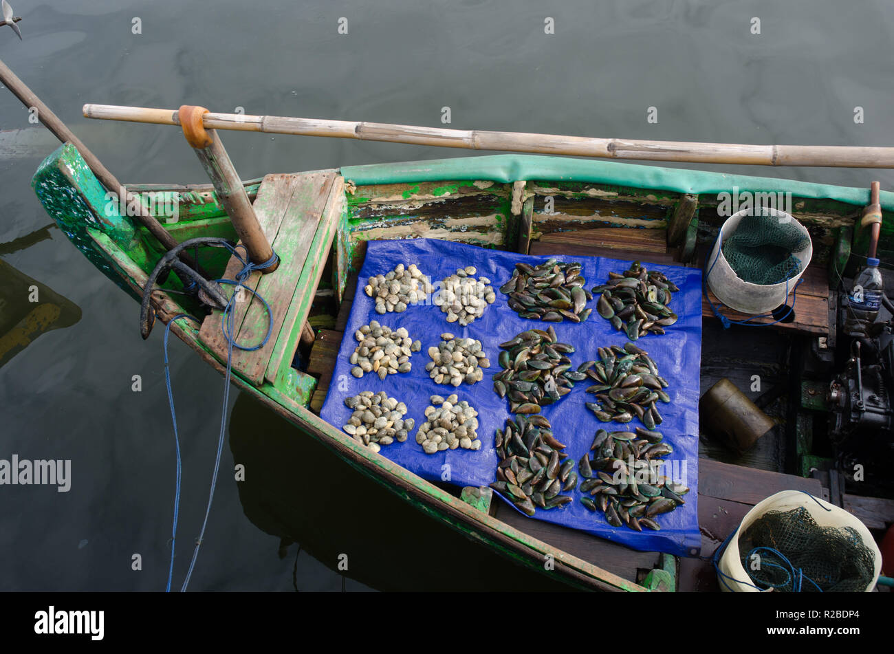 Pescatore di Ancol, Giacarta vendere pesce crudo, come la shell, calamari, gamberetti, nel mercato mattutino al fisherman dock. Foto Stock