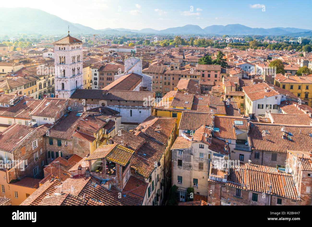 Vista panoramica a Lucca con San Michele al Foro Chiesa. Toscana, Italia. Foto Stock