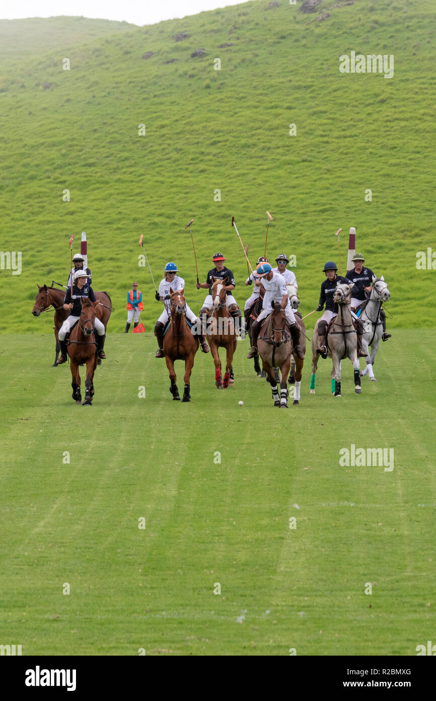 Waikii, Hawaii - il Mauna Kea Polo Club gioca polo domenica pomeriggio sulle pendici del vulcano dormiente, Mauna Kea. Foto Stock