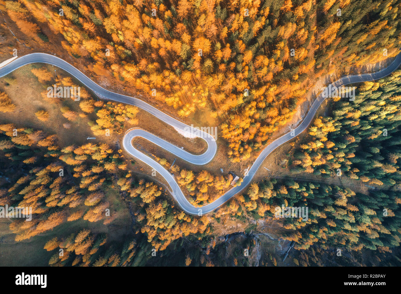 Vista aerea della strada tortuosa in autunno foresta al tramonto in montagna. Vista superiore della perfetta asfalto stradale e alberi di arancio. Autostrada attraverso il woo Foto Stock