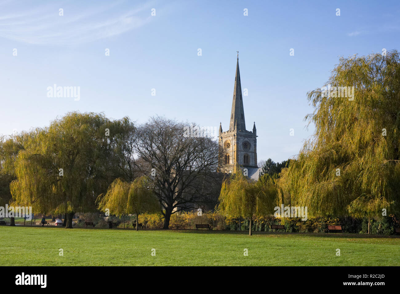 Chiesa della Santa Trinità, Stratford upon Avon.tree Foto Stock