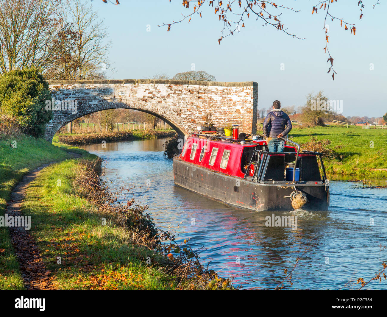 Uomo che guida un narrowboat lungo il canale di Trent e Mersey nella campagna di Hassall Green nel Cheshire, Inghilterra, Regno Unito Foto Stock