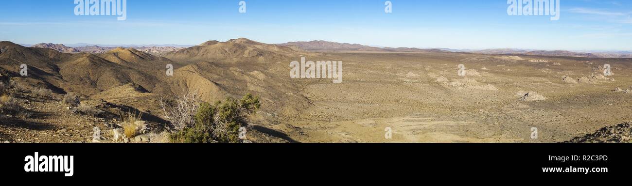 Ampio paesaggio panoramico Vista panoramica del deserto di Mojave con orizzonte lontano vicino alla miniera di cavalli perduti nel Parco Nazionale di Joshua Tree California USA Foto Stock