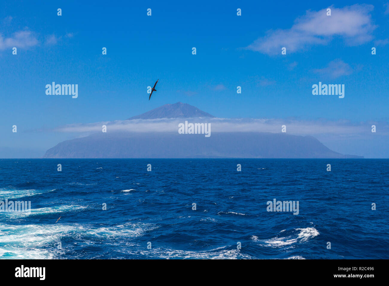 Tristan da Cunha, l'isola più lontana, Sud Atlantico - British Overseas territorio. Vulcano coperto di nuvole e seagull sul primo piano. Foto Stock