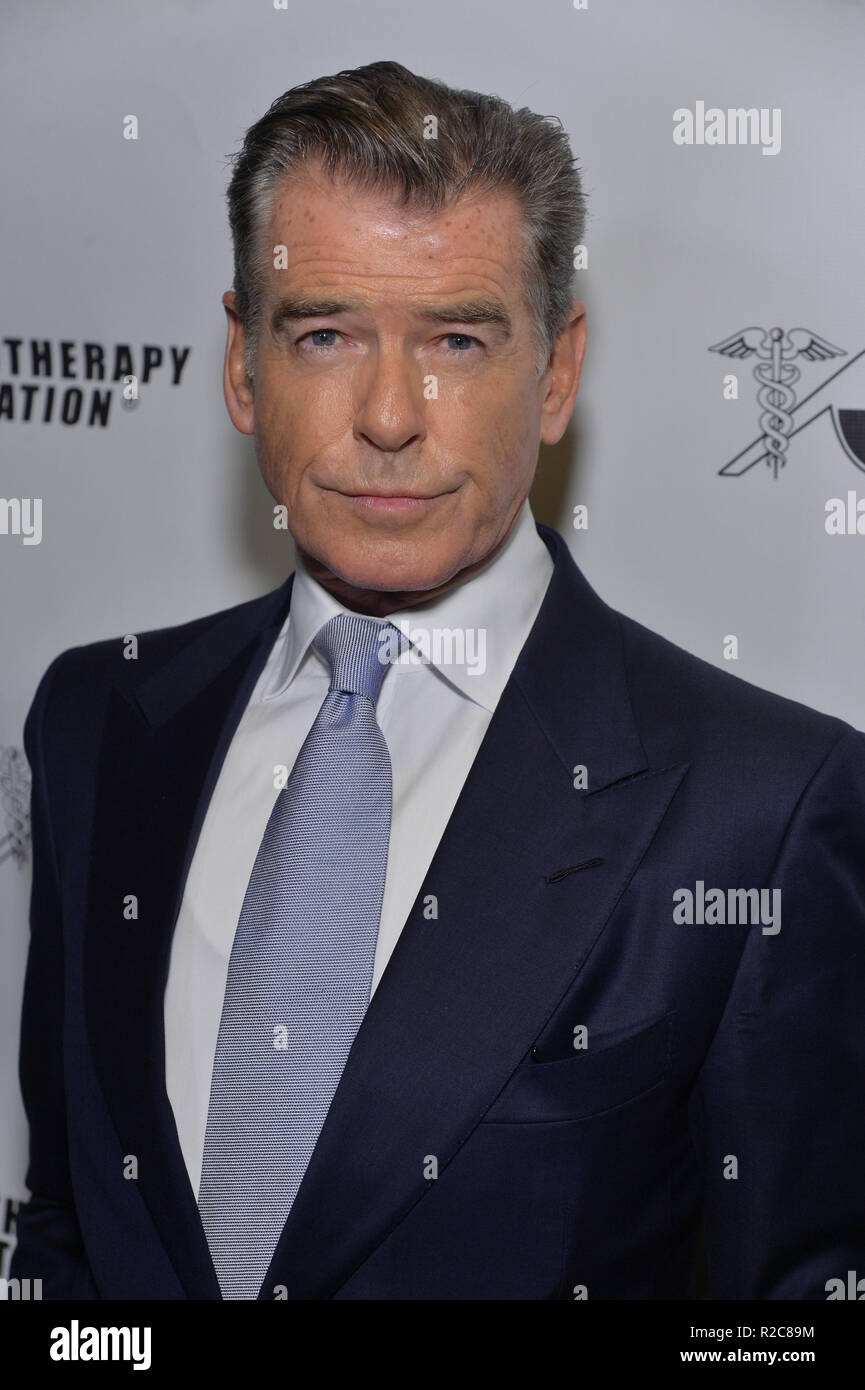 Fondazione di chemioterapia onori Pierce Brosnan con il premio umanitario durante il Gala di innovazione al russo sala da tè il 7 novembre 2018 in New York City. Foto Stock