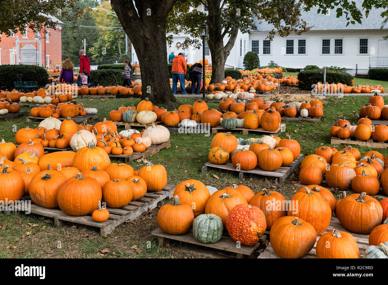 Festival di zucca, Sturbridge, Vermont, USA. Foto Stock