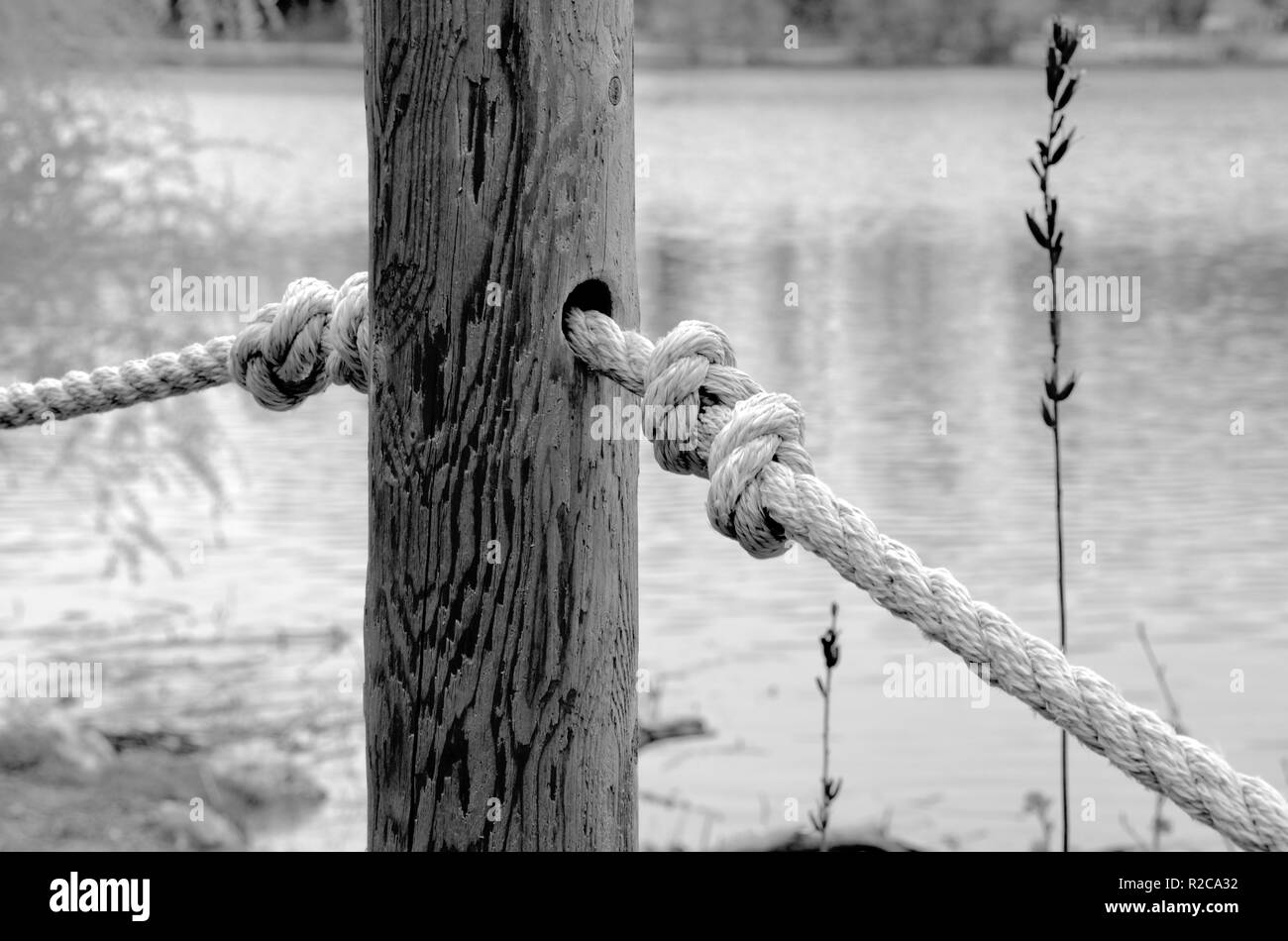 Vista del palo in legno con corda annodata Foto Stock