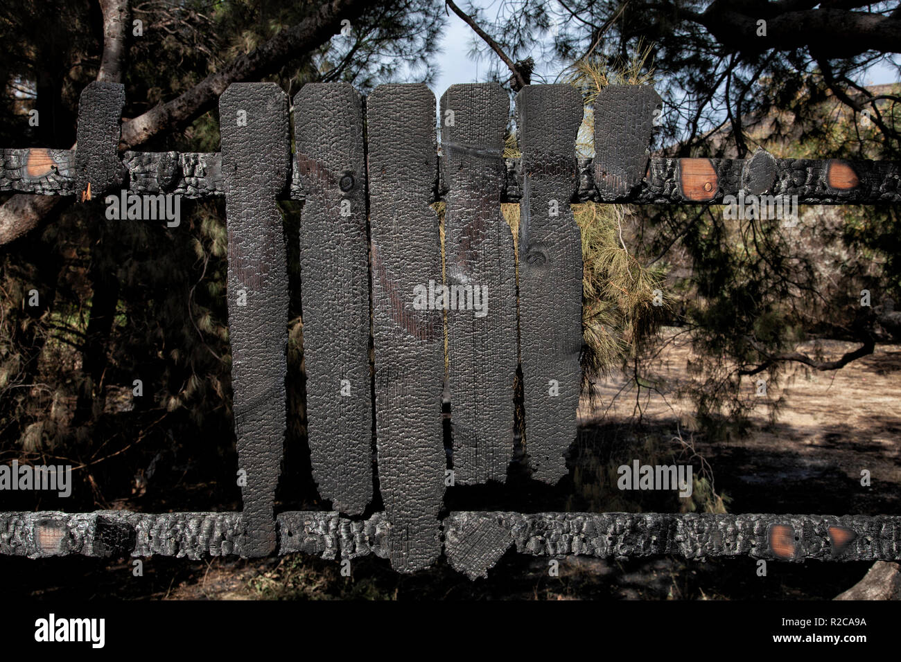 Recinzione bruciato. La Woolsey wildfire iniziato il 8 novembre 2018 e ha bruciato oltre 98.000 acri di terreno, distrutto una stima di 1.100 strutture e ha ucciso 3 persone a Los Angeles e Ventura Le contee e le specie colpite duramente area di Malibu. In California, Stati Uniti d'America Foto Stock