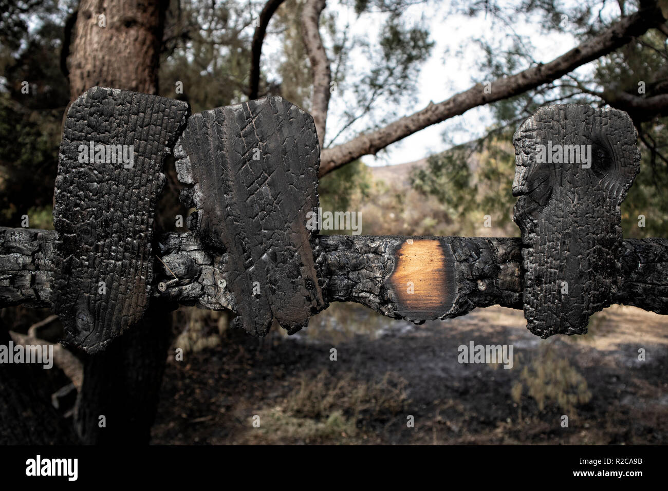 Recinzione bruciato. La Woolsey wildfire iniziato il 8 novembre 2018 e ha bruciato oltre 98.000 acri di terreno, distrutto una stima di 1.100 strutture e ha ucciso 3 persone a Los Angeles e Ventura Le contee e le specie colpite duramente area di Malibu. In California, Stati Uniti d'America Foto Stock