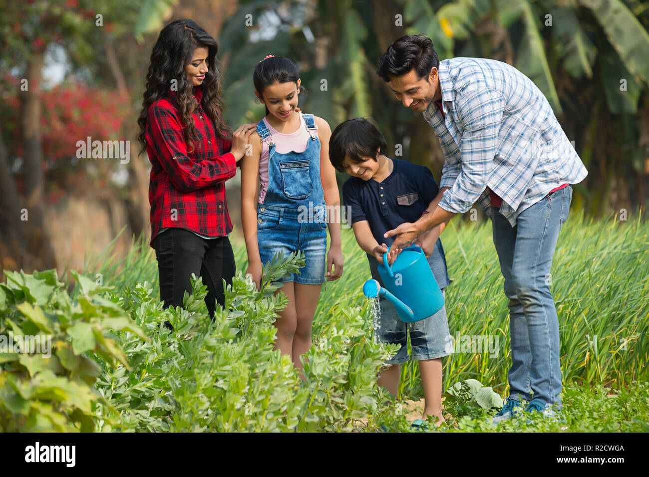 L'uomo aiutando il suo figlio per annaffiare le piante con un annaffiatoio mentre la moglie e la figlia a guardare. Foto Stock