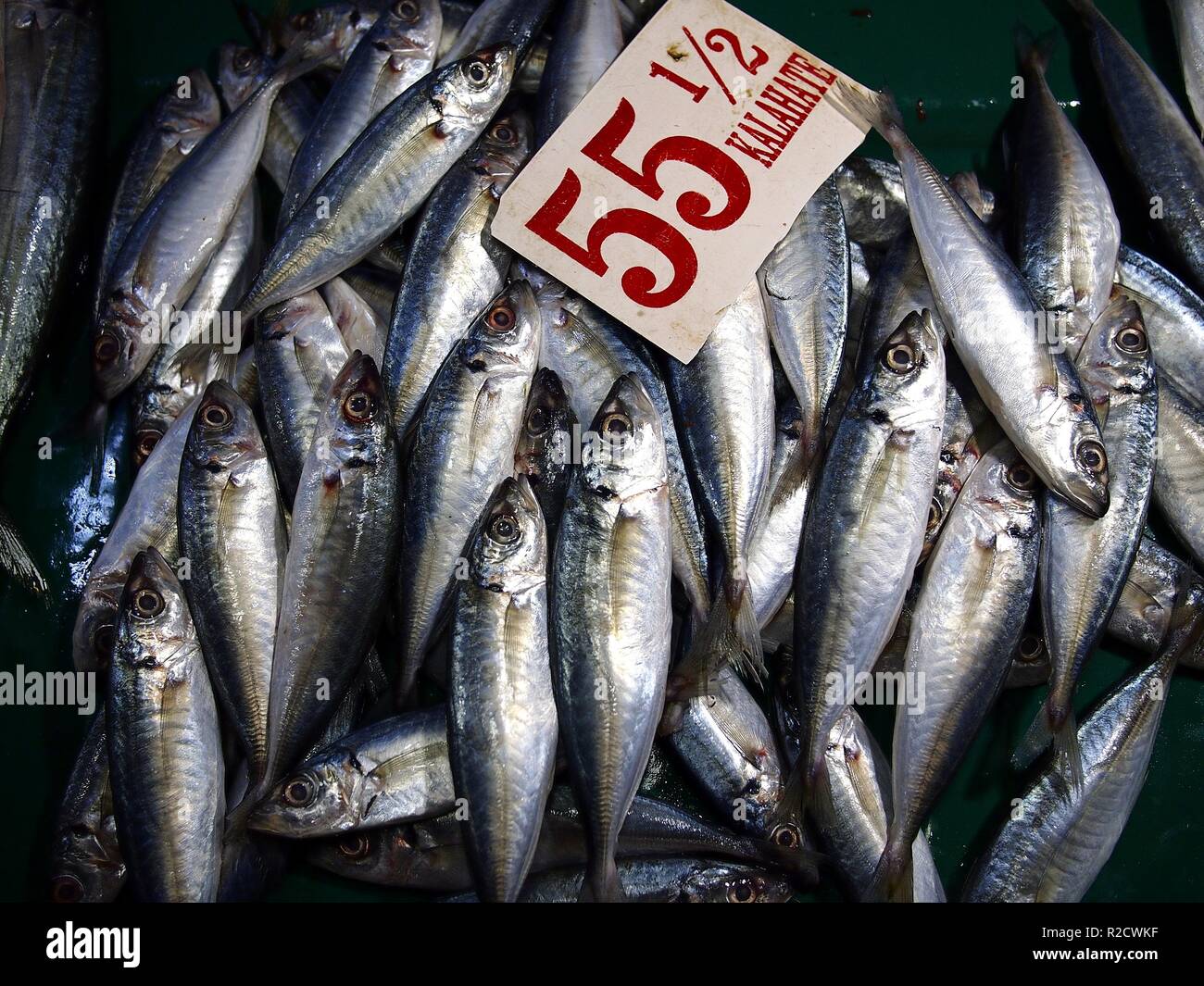 Foto del nuovo ciclo scad galunggong o in contenitori a un mercato umido Foto Stock