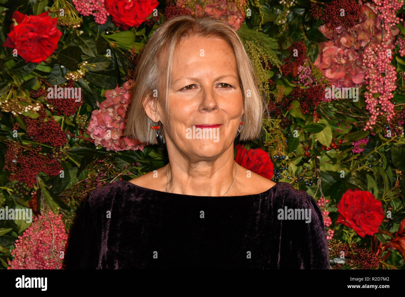 Londra, Regno Unito. Xviii Nov, 2018. Phyllida Lloyd assiste la 64th Evening Standard Theatre Awards al Theatre Royal, il 18 novembre 2018, Londra, Regno Unito. Credito: Picture Capital/Alamy Live News Foto Stock