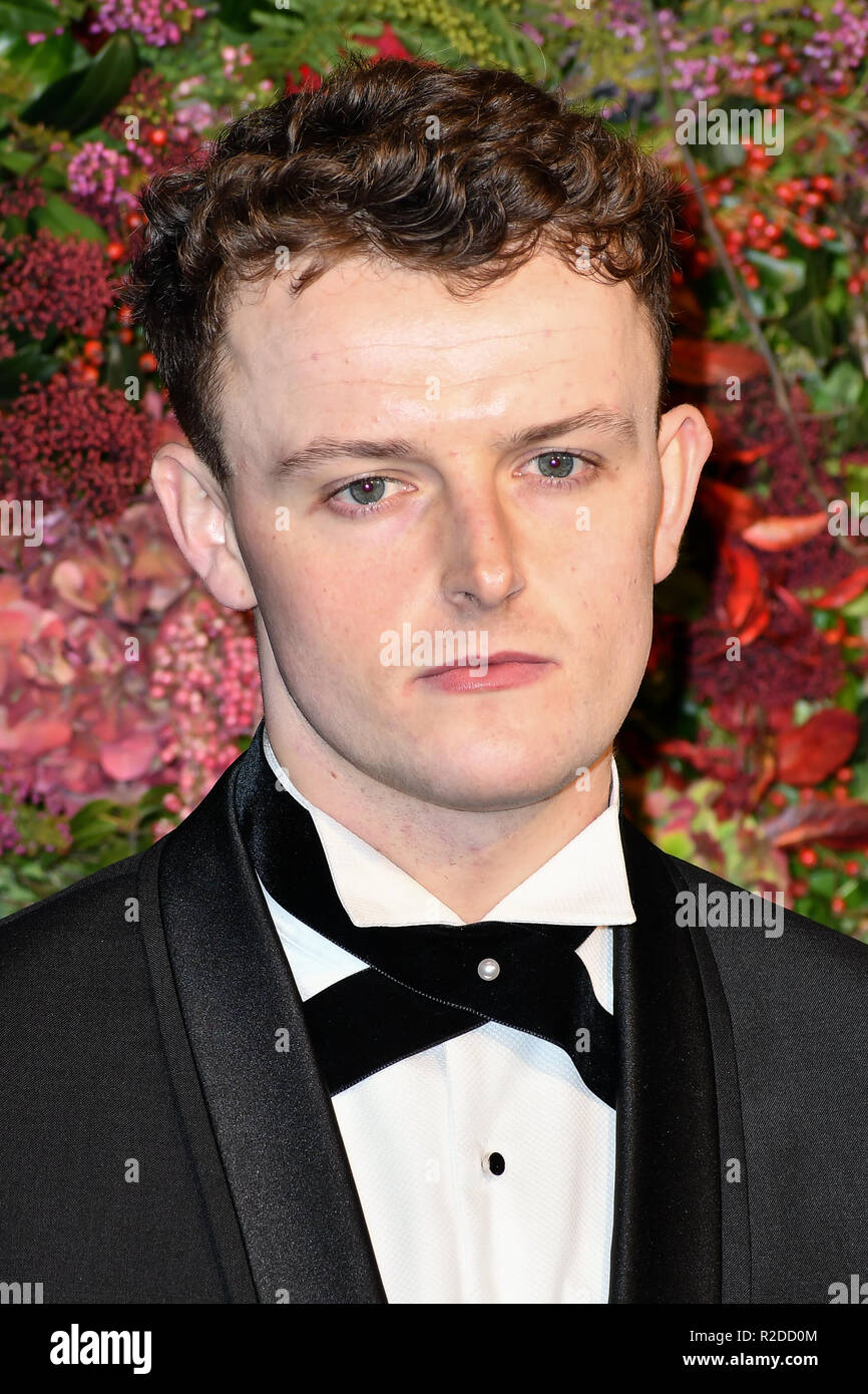 Londra, Regno Unito. 18 Novembre, 2018. Chris Walley assiste la 64th Evening Standard Theatre Awards al Theatre Royal, il 18 novembre 2018, Londra, Regno Unito. Credito: Picture Capital/Alamy Live News Foto Stock