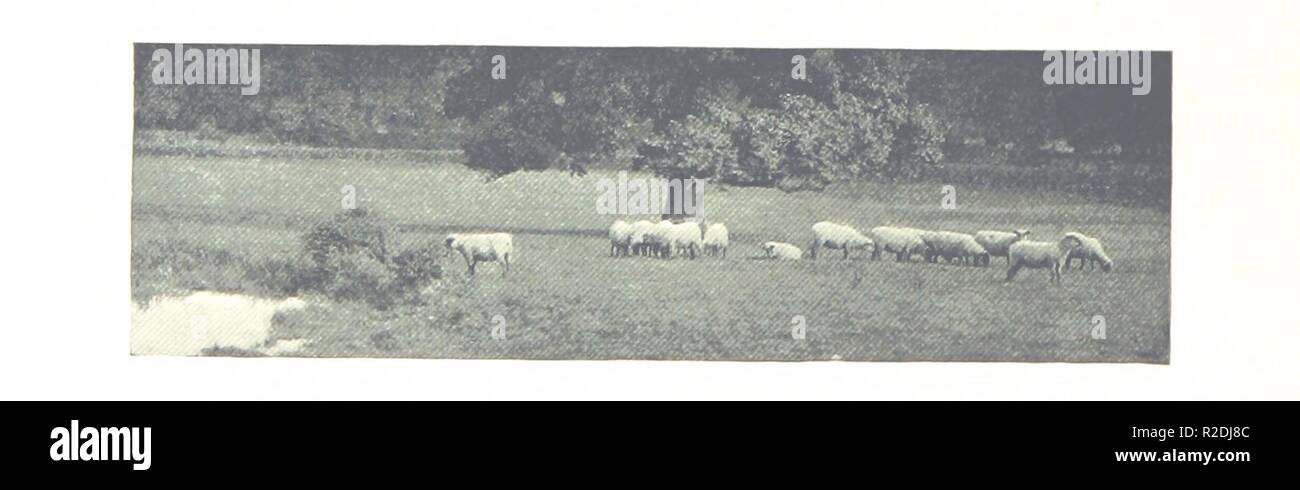Pagina 142 di 'foto fotografie in East Anglia di Payne Jennings. Con stampa in rilievo descrittivo da A. Berlyn' . Foto Stock